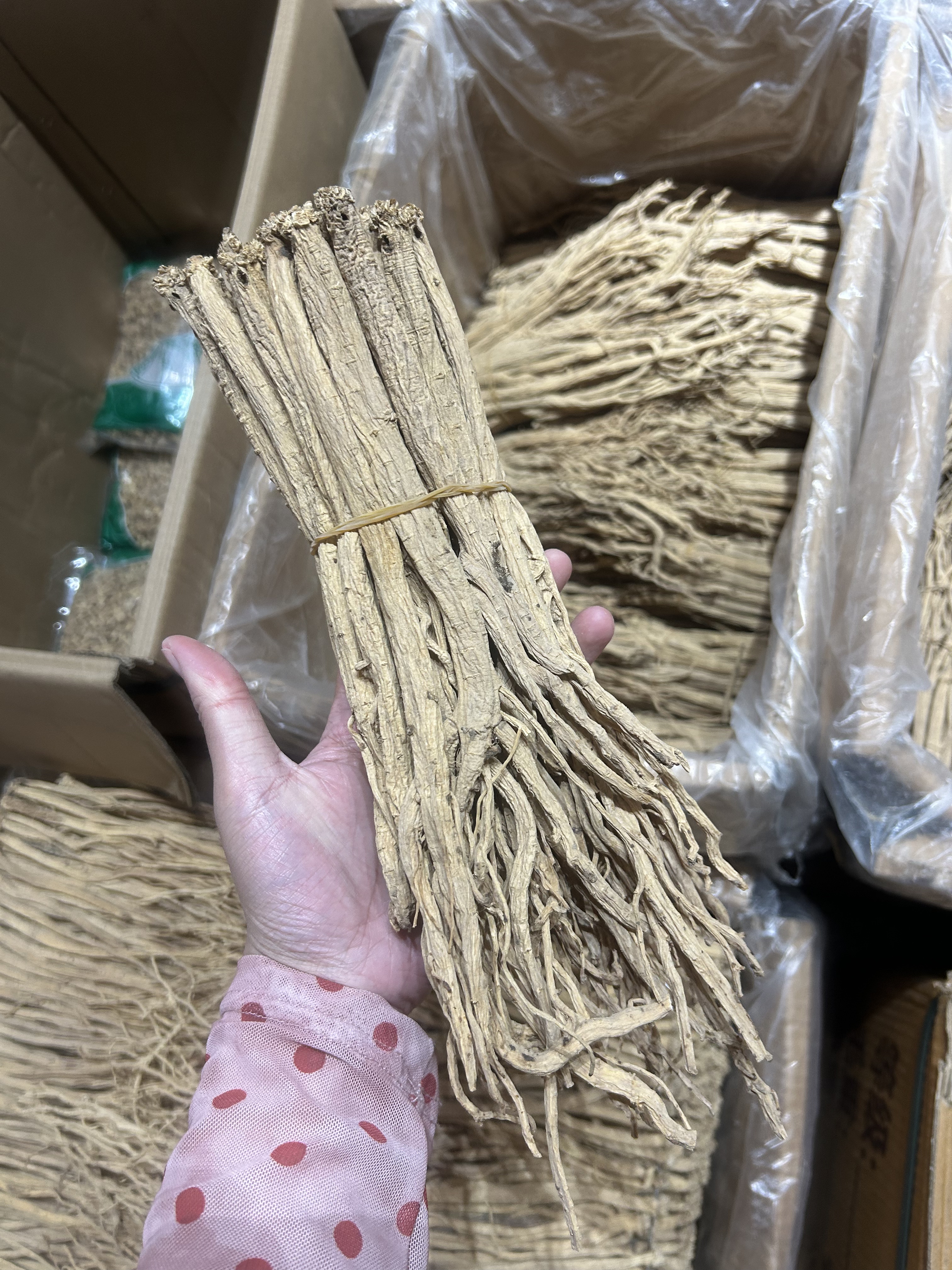 甘肃渭源党参中药材正品整根正宗无硫熏大条白条当参黄芪干货批发