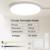 Dimmable light