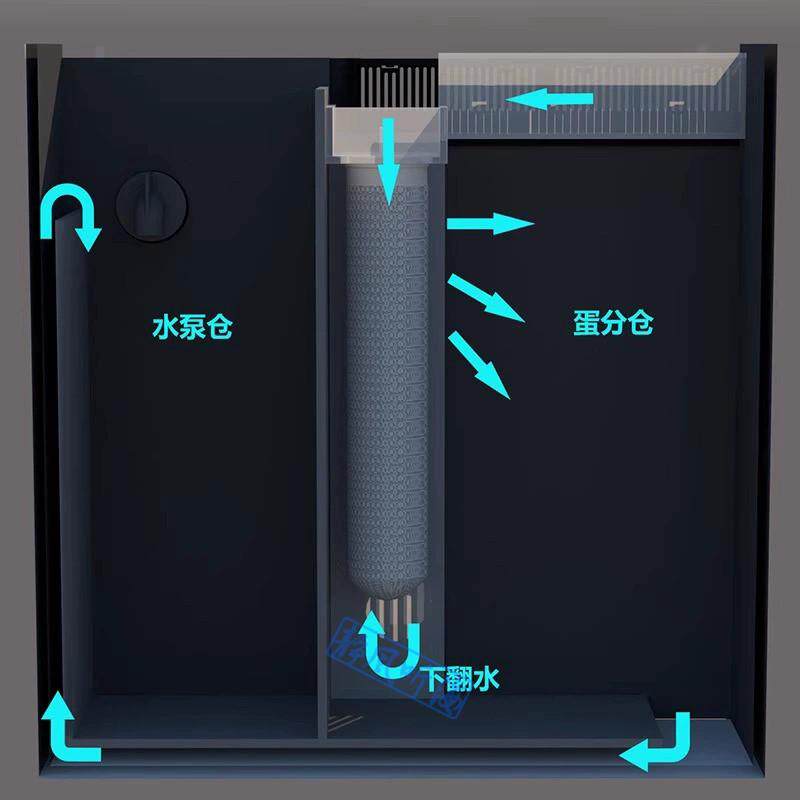 蓝甸专业海水缸珊瑚缸背滤缸客厅家用中小型水族箱观赏鱼缸超白