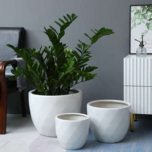 白色陶瓷绿植盆时尚简约家用室内外金钱树花盆特大号龟背竹发财树