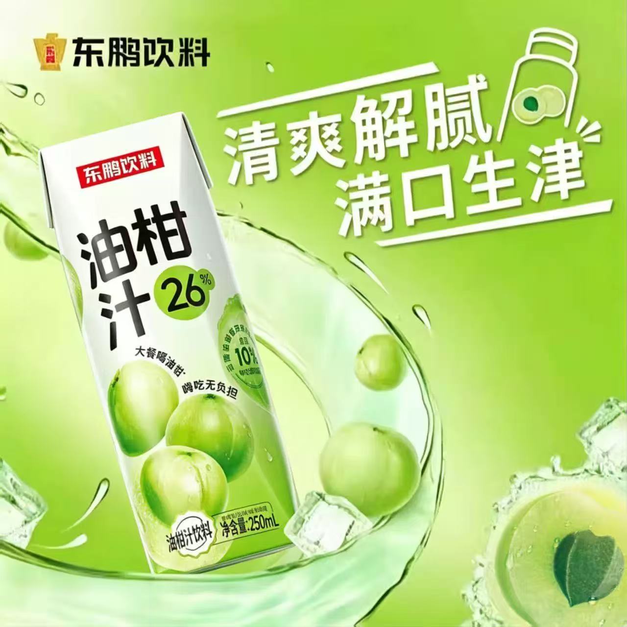 东鹏饮料潮汕油柑汁广东特产饮料图片