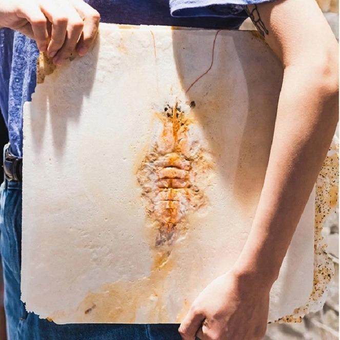 跨境商用网红甲骨文章鱼仙贝机不粘锅铝合金烤盘巨型“化石”仙骨,清洗/食品/商业设备,其他食品加工设备,淘宝优惠券,粉丝福利购,淘宝优惠卷