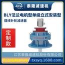 标BL单级立式 工厂定制 电机型双轴型法兰型摆线针轮减速机器