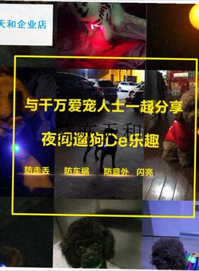 l物LED狗狗发光吊坠泰迪夜光防丢灯边牧M狗牌金毛法斗夜间遛狗灯