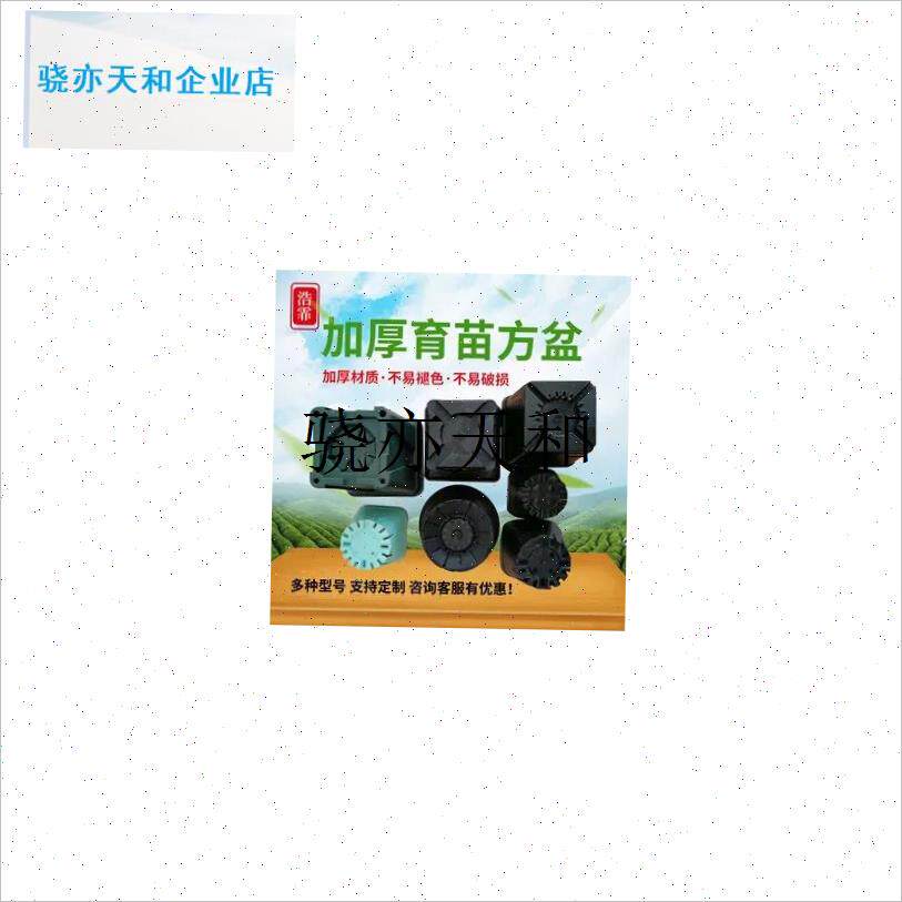 l深9cma小黑方景天盆多肉种植方盆塑料花盆方盒圆底拇指育苗盆