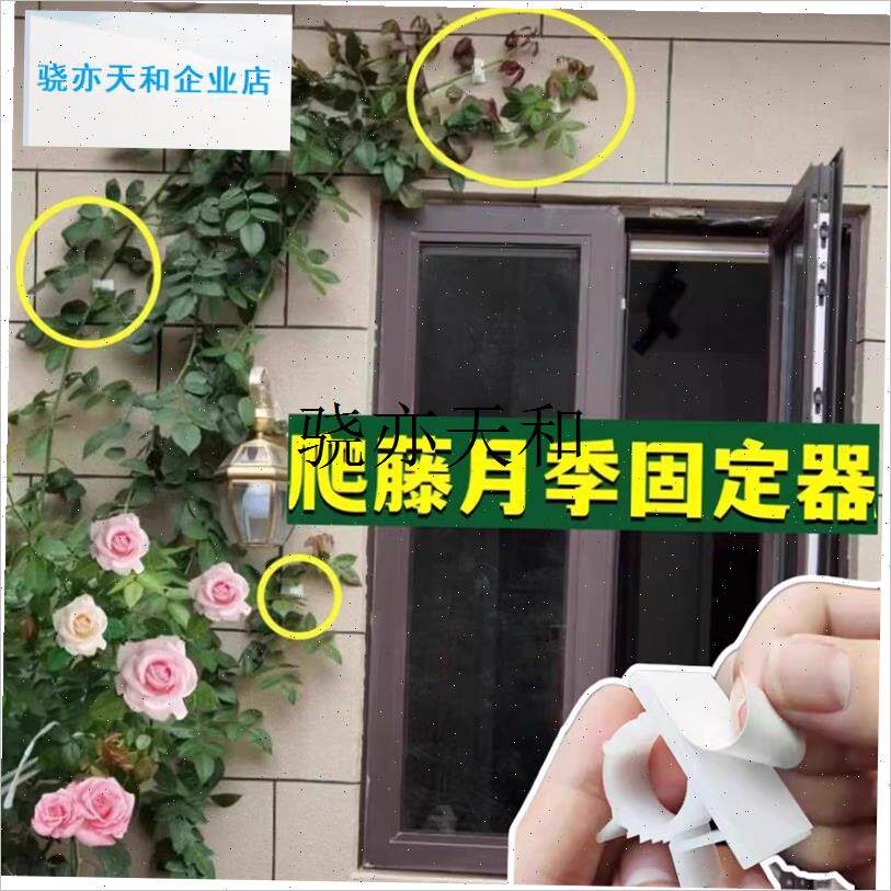 l外粗糙墙面固定器k爬藤本植物月季蔷薇花上墙枝条藤蔓牵引卡扣钉