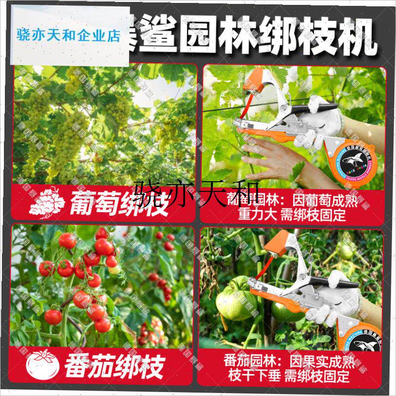 l国暴鲨新款绑g枝机葡萄绑西红柿藤绑枝神器黄瓜绑蔓钉子胶带绑枝