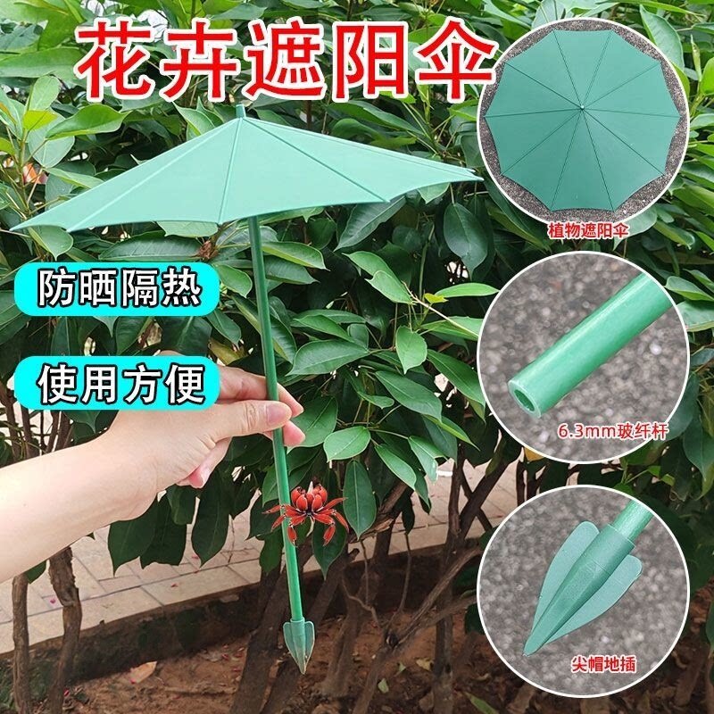 植物花卉防晒伞盆景盆栽遮阳伞隔热防雨伞阳台植物伞迷你地插伞