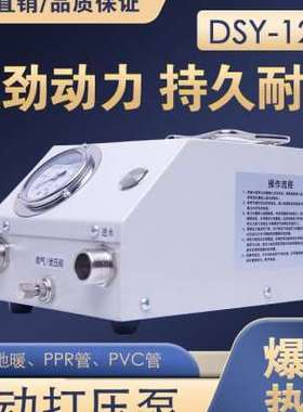 极速厂销电动试压泵水压测漏ppAr自来水管地暖高压打压机水管检测