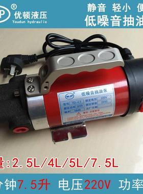 极速新品油机机油v输油2n20xv电动柴油保养齿轮油泵器220低加油抽