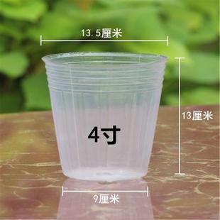 极速2.5寸f3.5寸4寸蝴蝶兰营养杯 花卉植物栽培种植半透明塑料盆