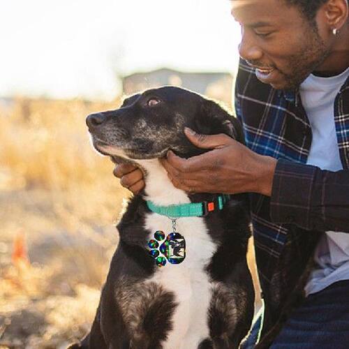 极速Resbin Molds Dog Tag Mold Pendent Making Mold Resin Dog