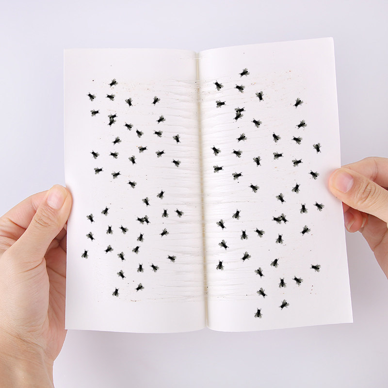 极速10片c装家用强力苍蝇贴粘蝇纸灭苍蝇蚊虫胶捕蝇器灭蝇粘蝇板,居家日用,粘蝇纸,淘宝优惠券,粉丝福利购,淘宝优惠卷