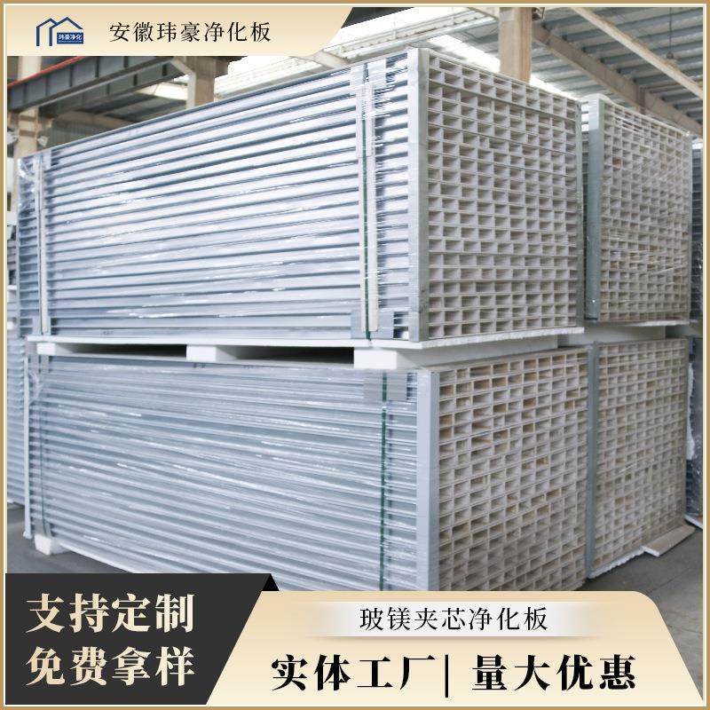 中空玻镁净化板厂家直供 无尘车间装修隔断板 防火隔热安装方便