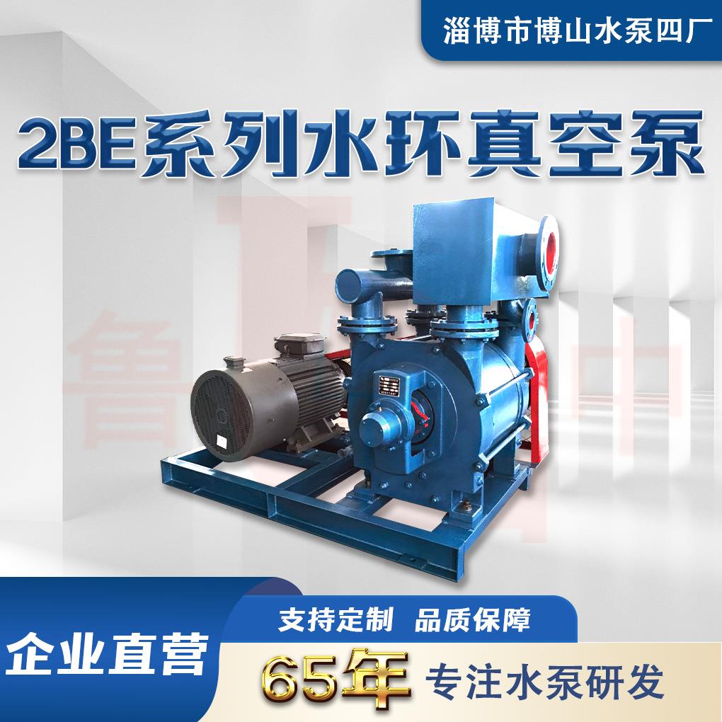 2BE303型水环真空泵博山厂家直供液环式真空泵电动负压真空设备