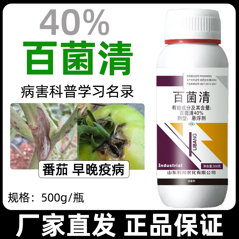 40%百菌清果树蔬菜花卉杀菌剂植物锈病炭疽病白粉叶斑霜霉病农药