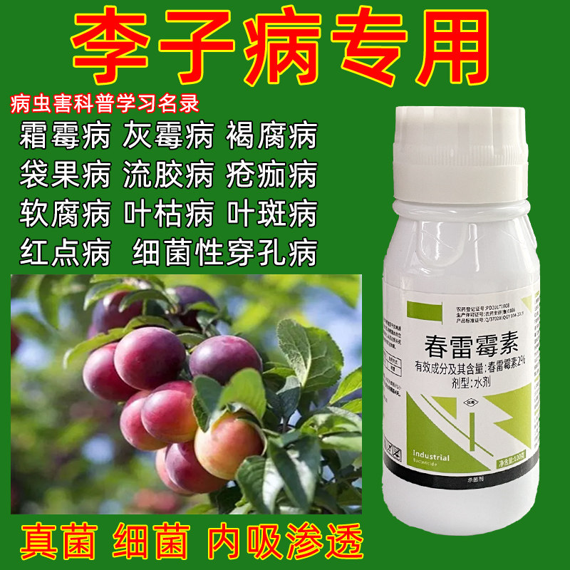 李子树病害专用药杀菌剂穿