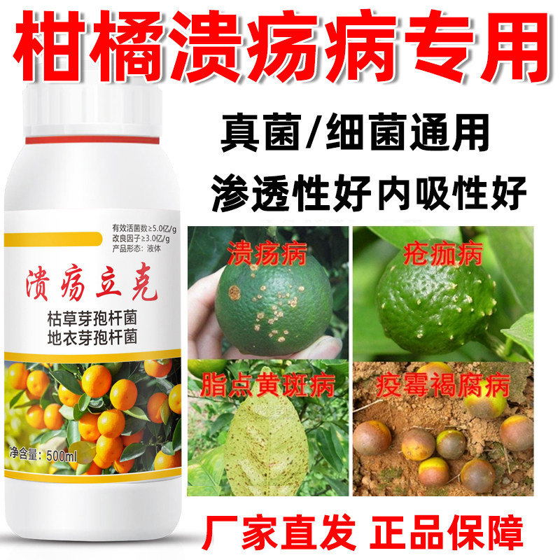 柑橘溃疡病专用药疮痂炭疽