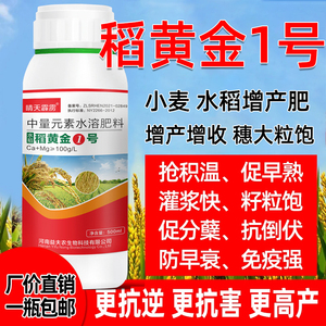 稻黄金水高产增收返青壮秧
