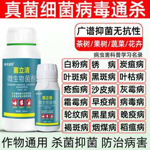菌立清微生物菌剂通用杀菌剂真菌细菌根腐枯黄灰霉病紫斑叶斑农用