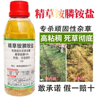 精草胺磷胺盐除草烂根剂草铵膦正品精草铵磷铵盐高浓度正品除草剂