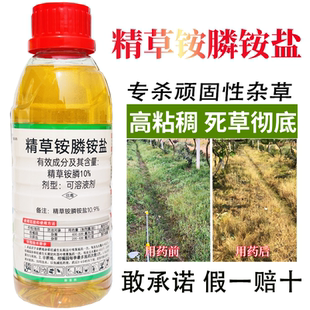 精草胺磷胺盐除草烂根剂草铵膦正品精草铵磷铵盐高浓度正品除草剂
