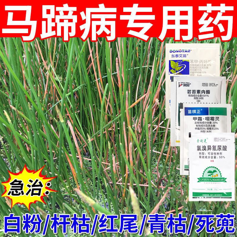 马蹄病药专用套餐枯萎白粉