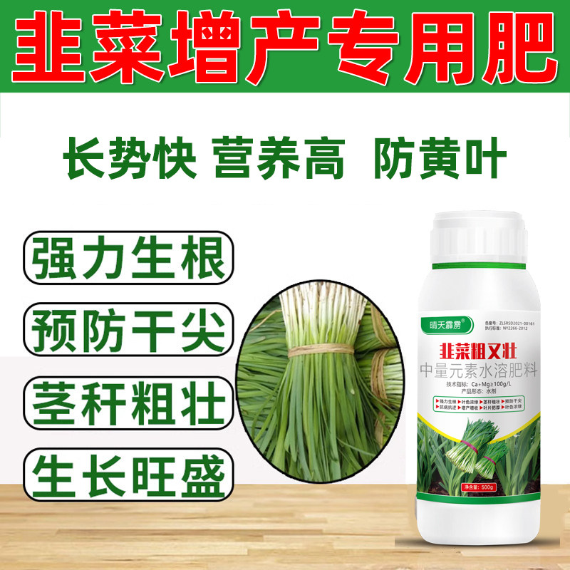 韭菜专用肥料防止黄叶干尖