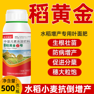 稻黄金水稻高产增收返青壮秧叶面肥稻谷水稻增产剂穗大粒饱水溶肥