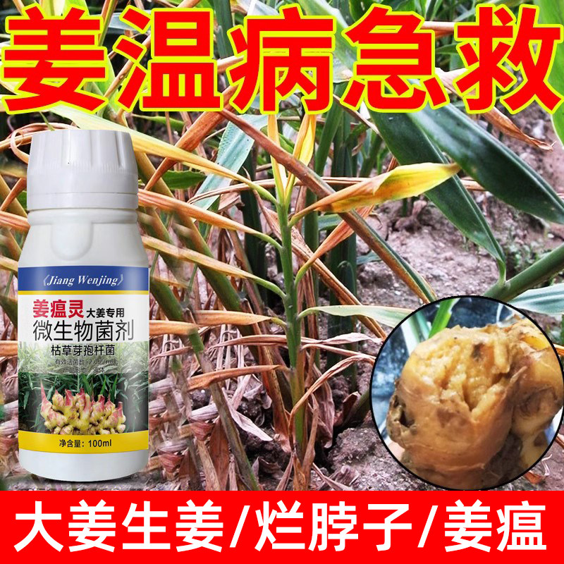 生姜沙瘟灵病烂脖子根腐茎