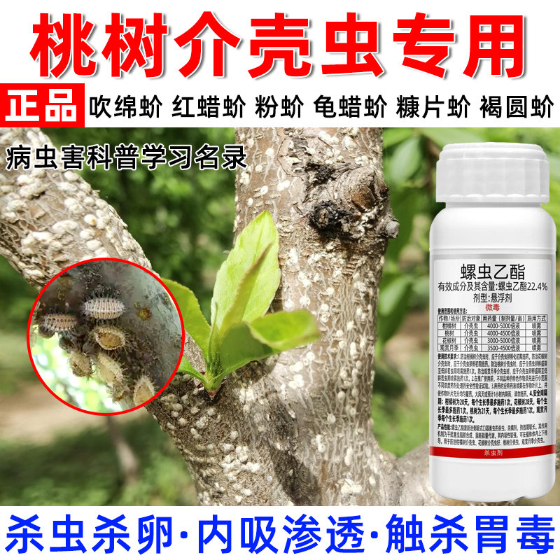桃树杀虫专用药介壳虫红蜘蛛蚜虫