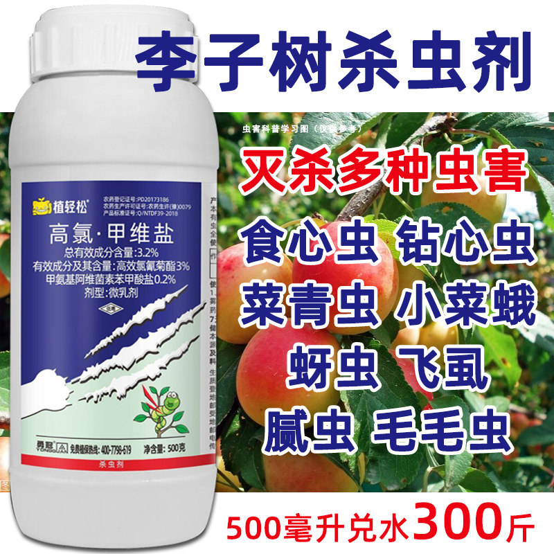 李子树杀虫剂高氯甲维盐蚜图片