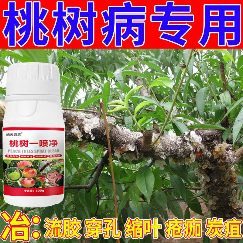 桃树流胶病专用一喷净杀菌
