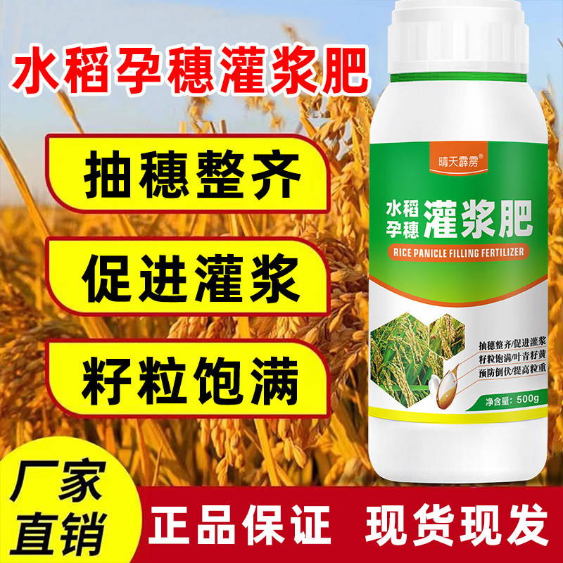 水稻专用肥水稻孕穗灌浆肥抗倒伏
