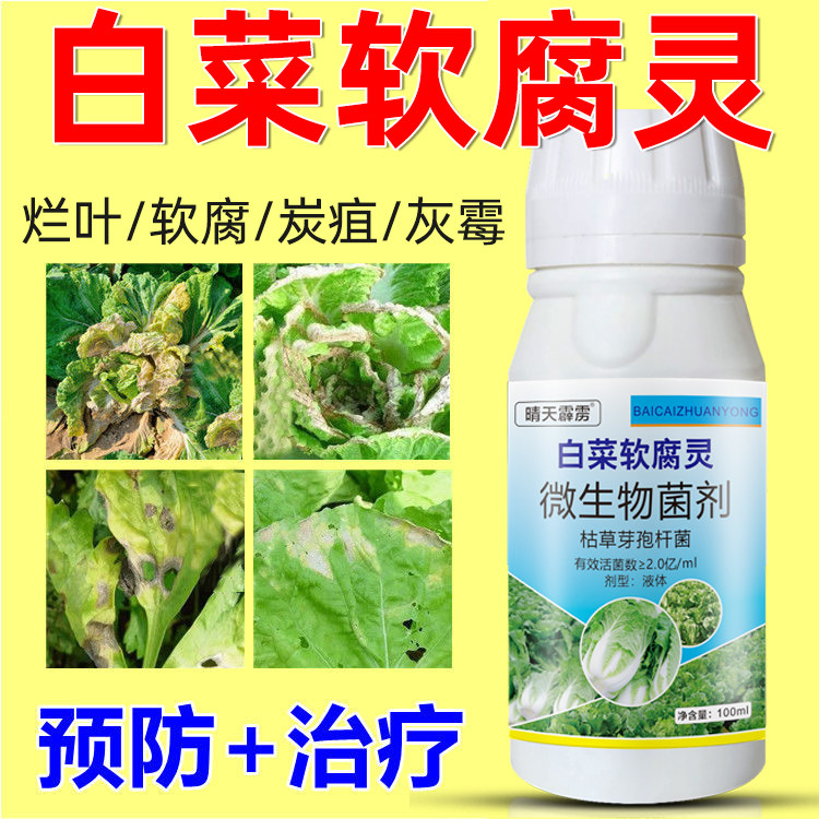白菜专用药杀菌剂根腐烂软