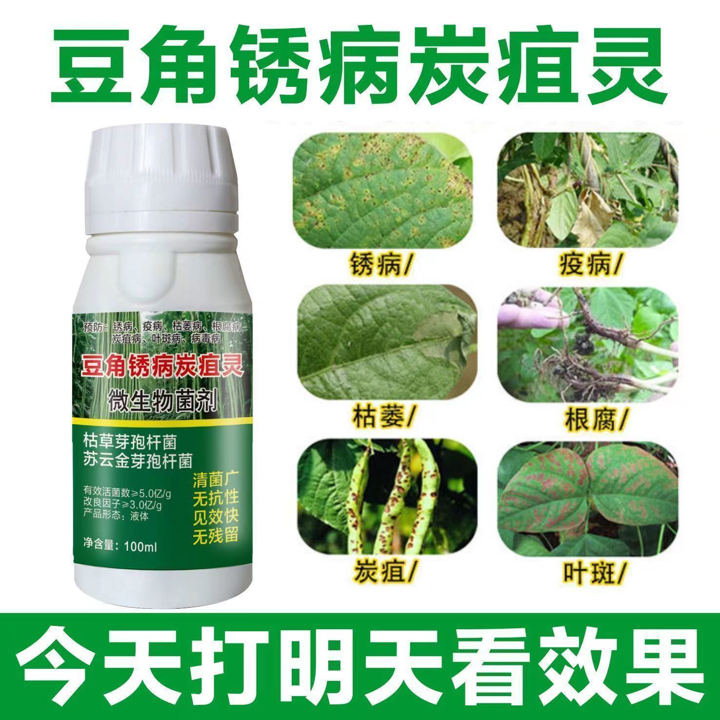 豆角专用药锈病杀菌剂炭疽
