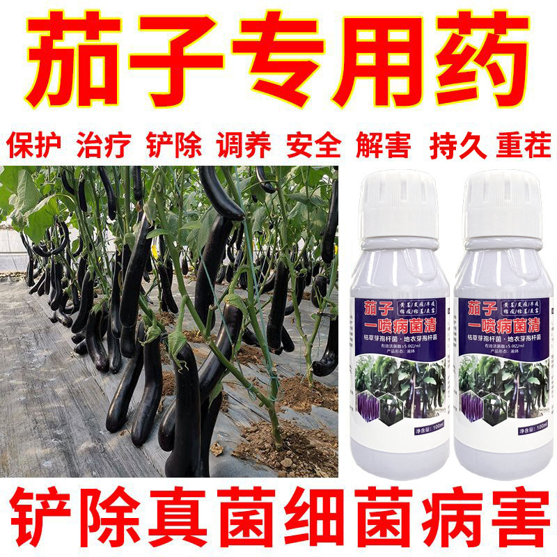 茄子治病药杀菌剂疫黄萎炭