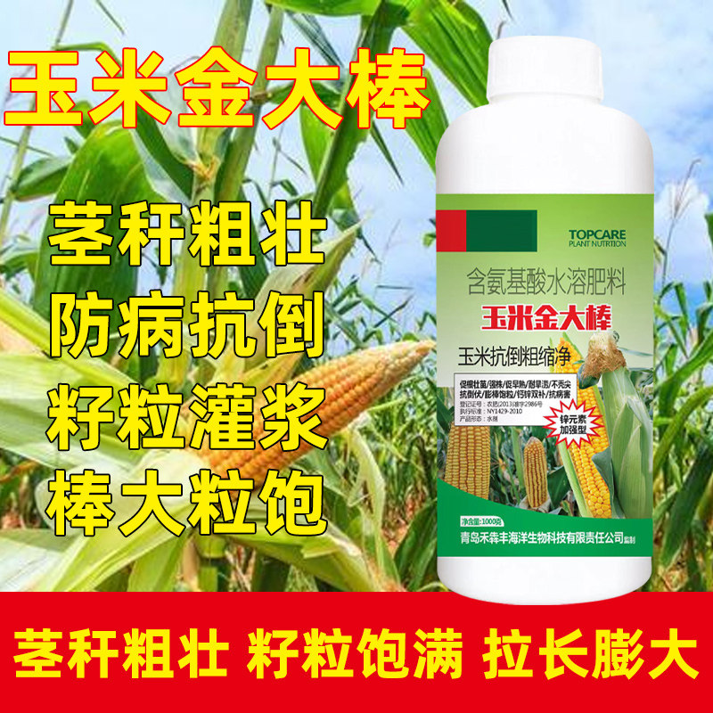玉米金大棒促早熟抗旱涝倒