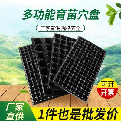 园艺育苗盘平盘塑料育苗盒无孔林木穴盘加厚简易育苗容器