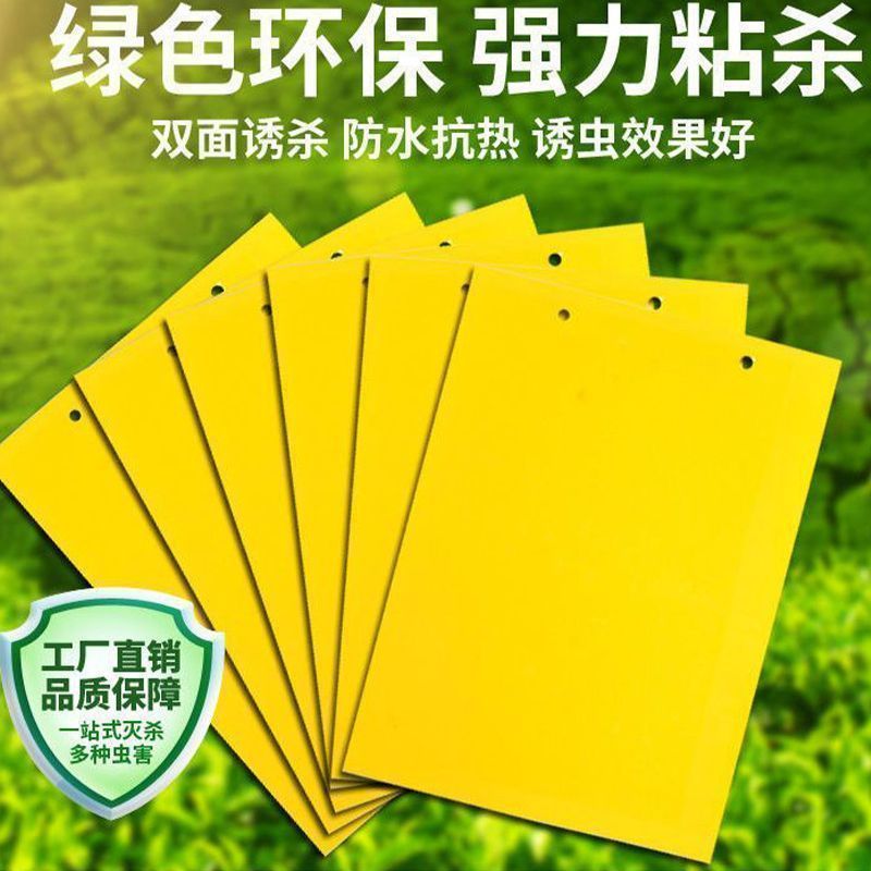 双面黄蓝诱虫板果园大棚用粘虫板