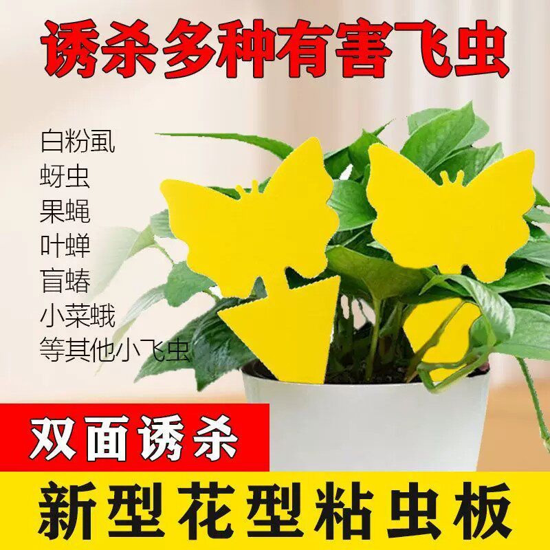 小黄板粘虫板双面诱虫板黏沾虫小飞虫粘板家用强力粘蝇纸花卉蝴蝶