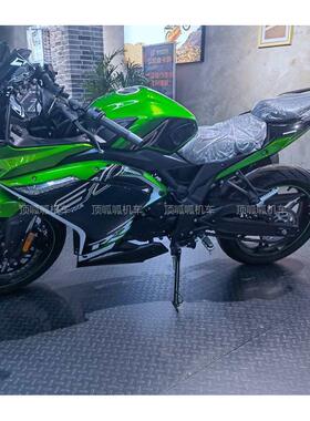 无极300R/RR加装后挡泥LX300GS-D原车挡泥板挡水板泥瓦摩托车配件