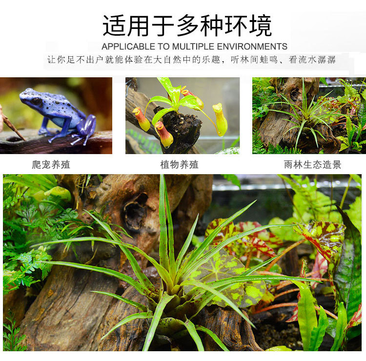 独立式玻璃雨林缸适用于蜥蜴热带雨林植物造景缸 房间书房用生态
