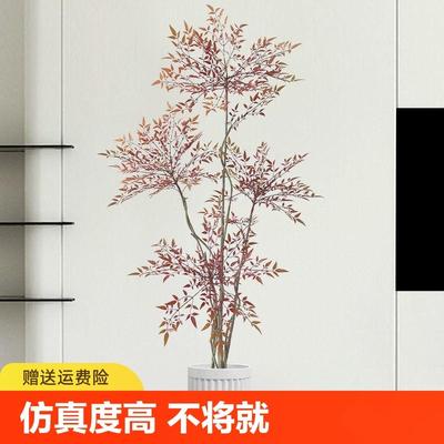红色南天竹真绿植装饰客厅落地摆件大型室内轻奢假花真花摆设