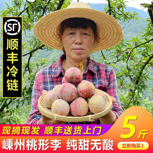 正宗嵊州金庭桃形李5斤礼盒装顺丰包邮