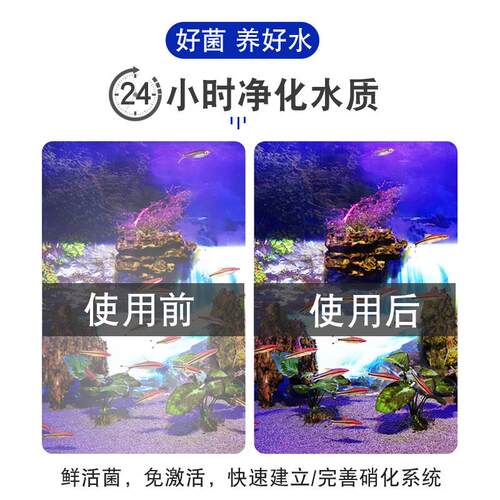 奥芬兰硝化细菌鱼缸用活性水族海水消化细菌淡水硝化菌锦鲤专用