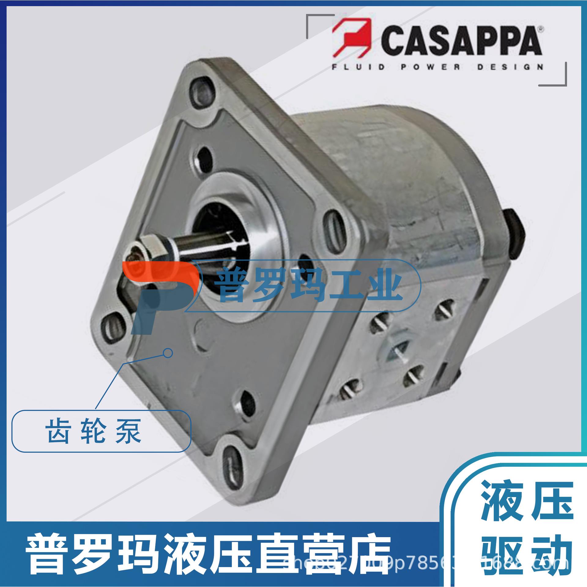 凯斯帕CA/SAP1PA齿轮泵PLM20-4/.6.3/7.2/89/105/11.2/4/16液压泵