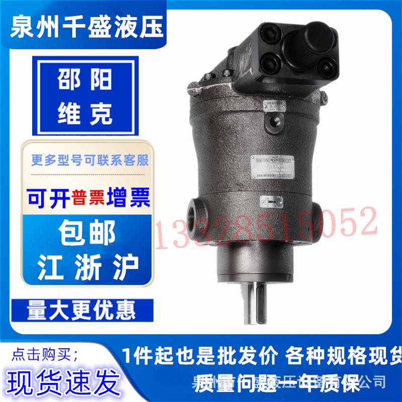 邵阳维克柱塞SY-10/泵2C5/3240//63/80/125/160/250MYY14-1E/EL/B