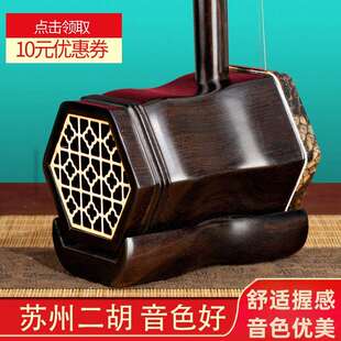 苏州二胡乐器成人儿童演奏初学者入门黑檀厂家直销胡琴其他无