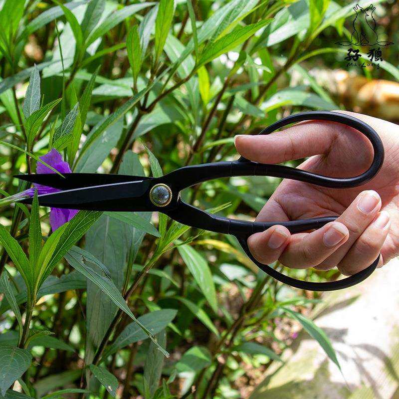 现货跨境修枝剪黑色专业插花剪盆景剪园艺工具不锈钢叶芽剪枝条,3C数码配件,USB灯,淘宝优惠券,粉丝福利购,淘宝优惠卷